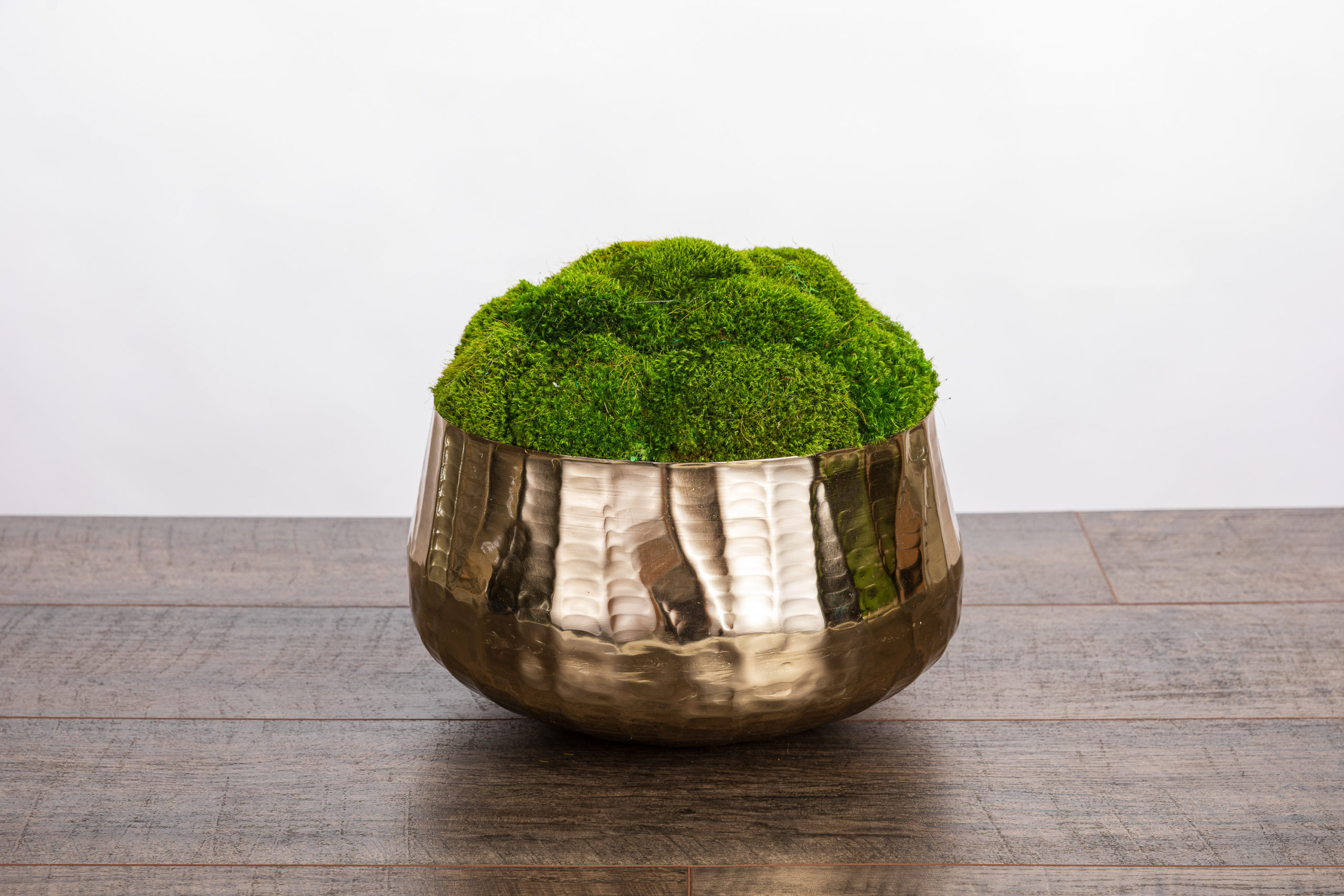 Botanica Preserved Moss in Hammered Brass Bowl